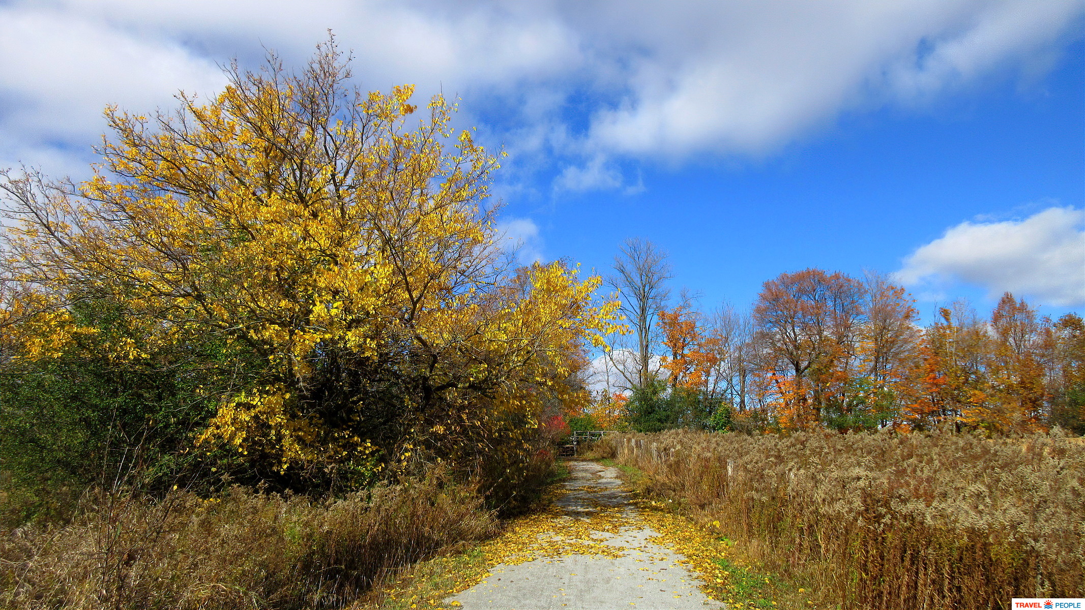 Rouge Urban Park