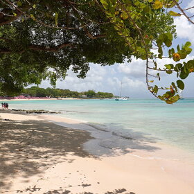 Sandy Lane Beach