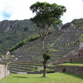 ��������� ������ ���� �����