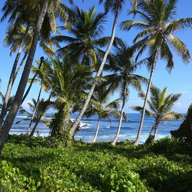 � ������